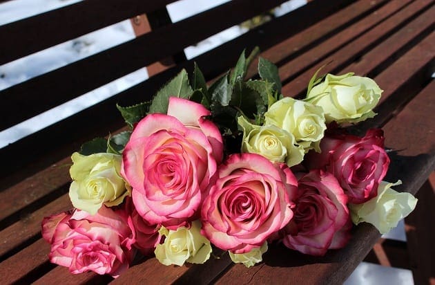 Rose bouquet