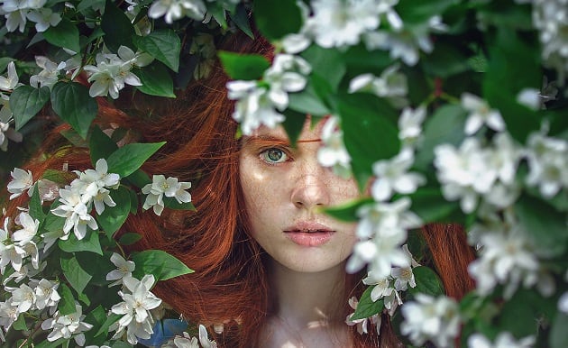 Flowers